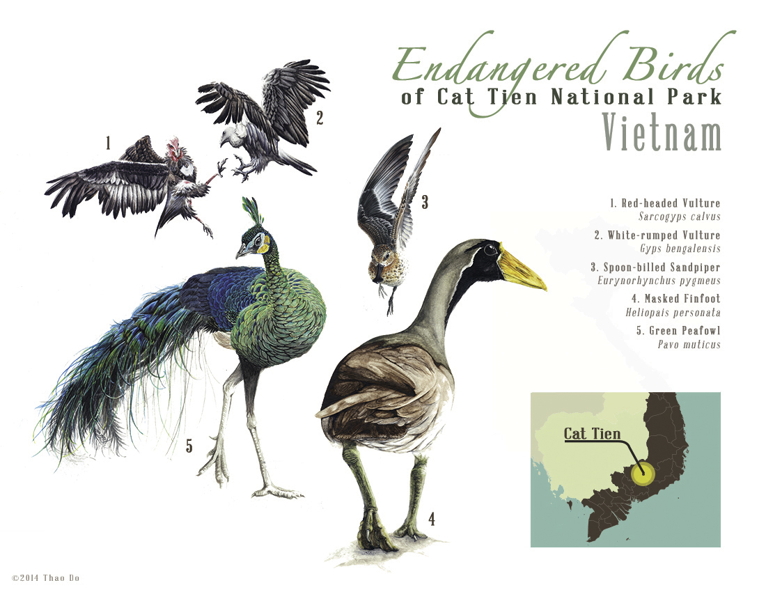 Endangered Birds found in Cat Tien National Park